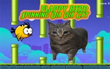 Flappy Bird Spinning Oia Oia Cat Game