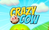 Crazy Cow: Roll the Cow Puzzle Game
