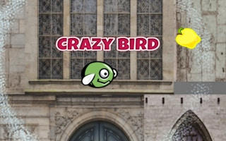 Crazy Bird City - Fly & Collect Adventure