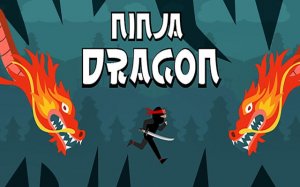 Ninja Dragon Wall Climb Arcade Game