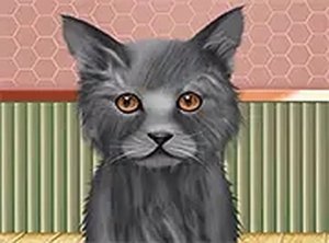 Pet Makeup Master Online Pet Grooming Game