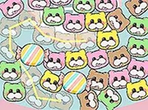 Feline Match Puzzle