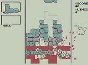 Cat Block Stack Puzzle