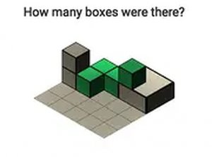 Try To Count The Boxes Brain Training Puzzle Game